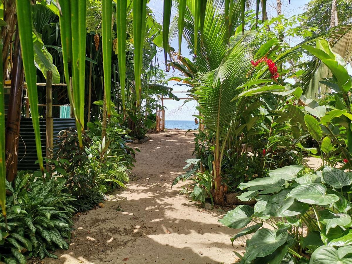 Oasis Beachfront Hostel Puerto Limon Exterior photo
