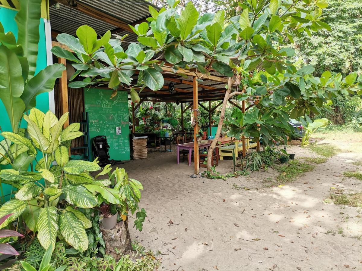 Oasis Beachfront Hostel Puerto Limon Exterior photo