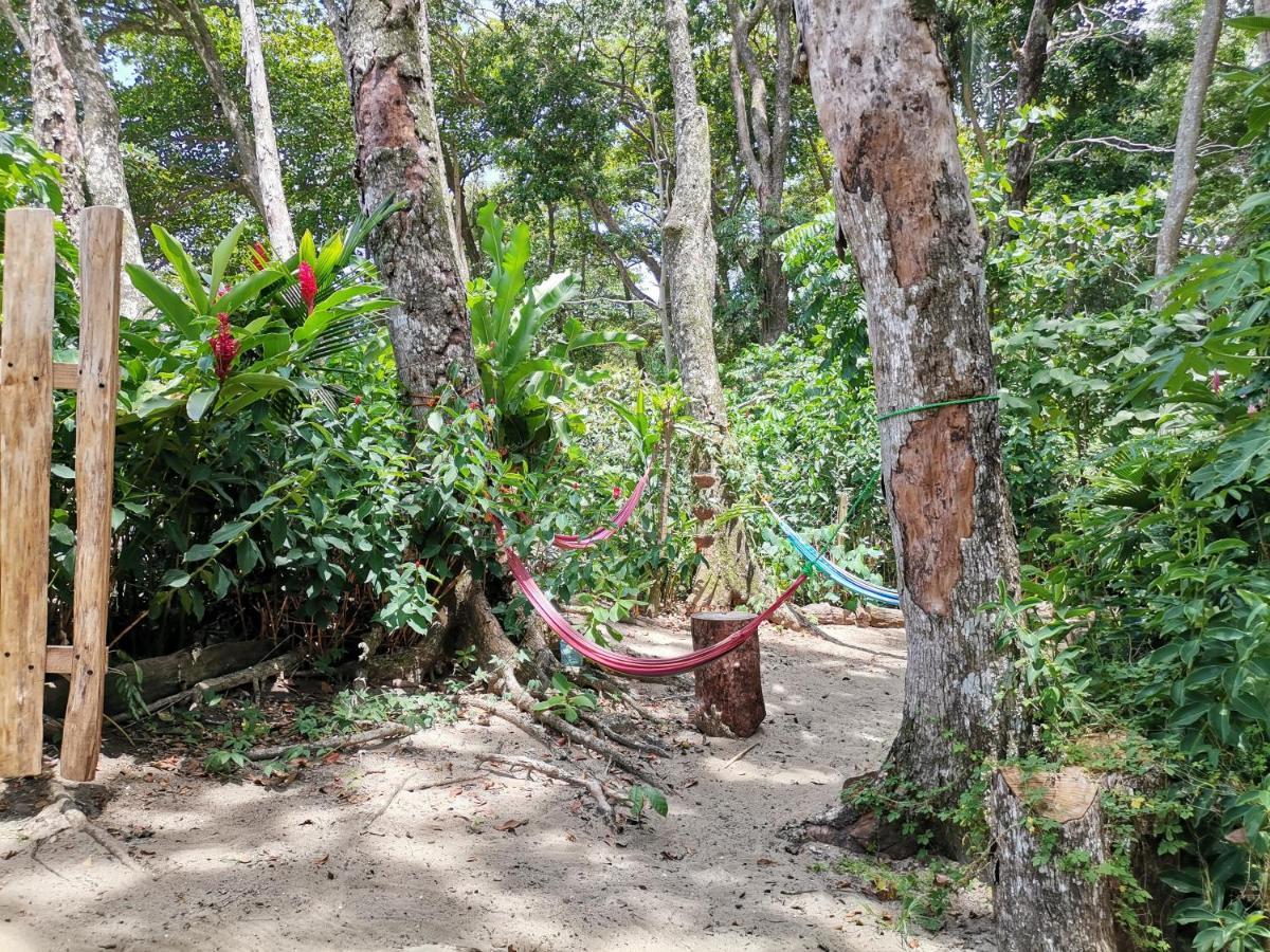 Oasis Beachfront Hostel Puerto Limon Exterior photo