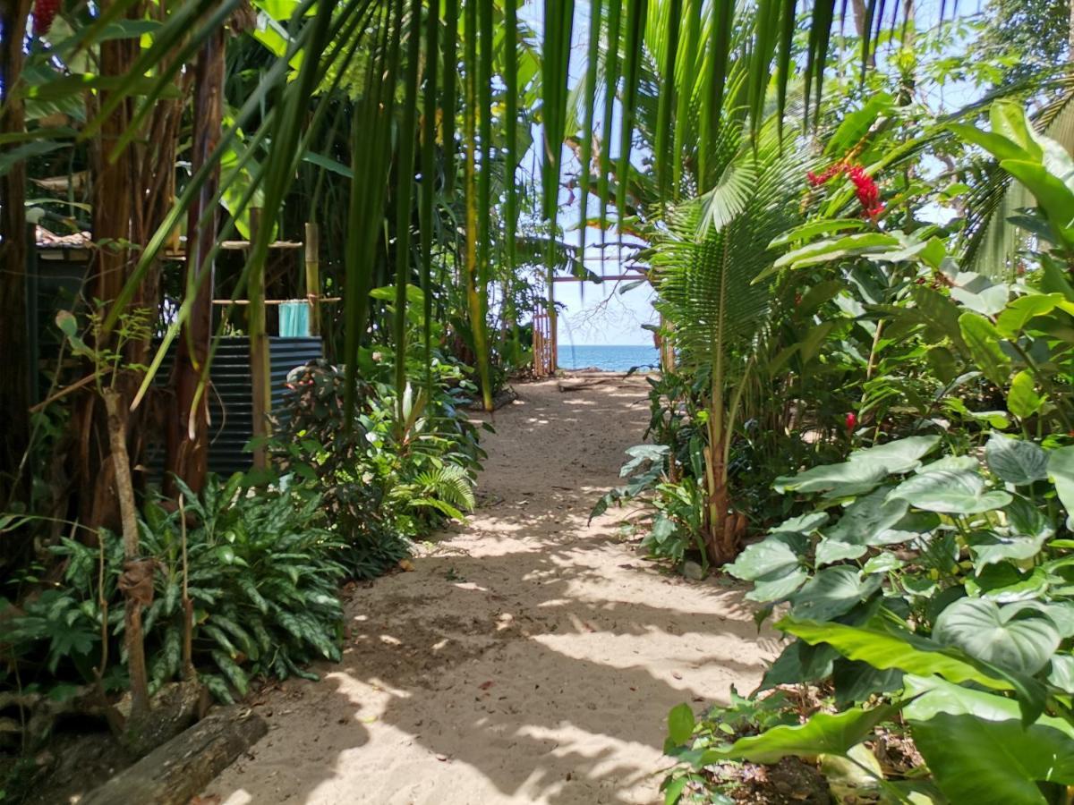 Oasis Beachfront Hostel Puerto Limon Exterior photo