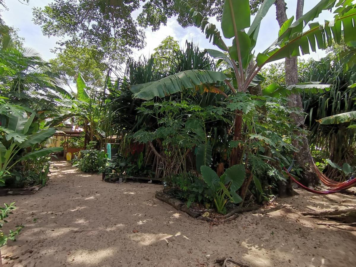 Oasis Beachfront Hostel Puerto Limon Exterior photo