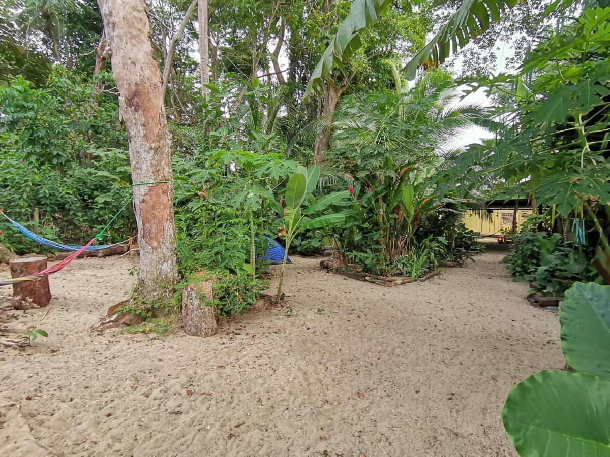 Oasis Beachfront Hostel Puerto Limon Exterior photo