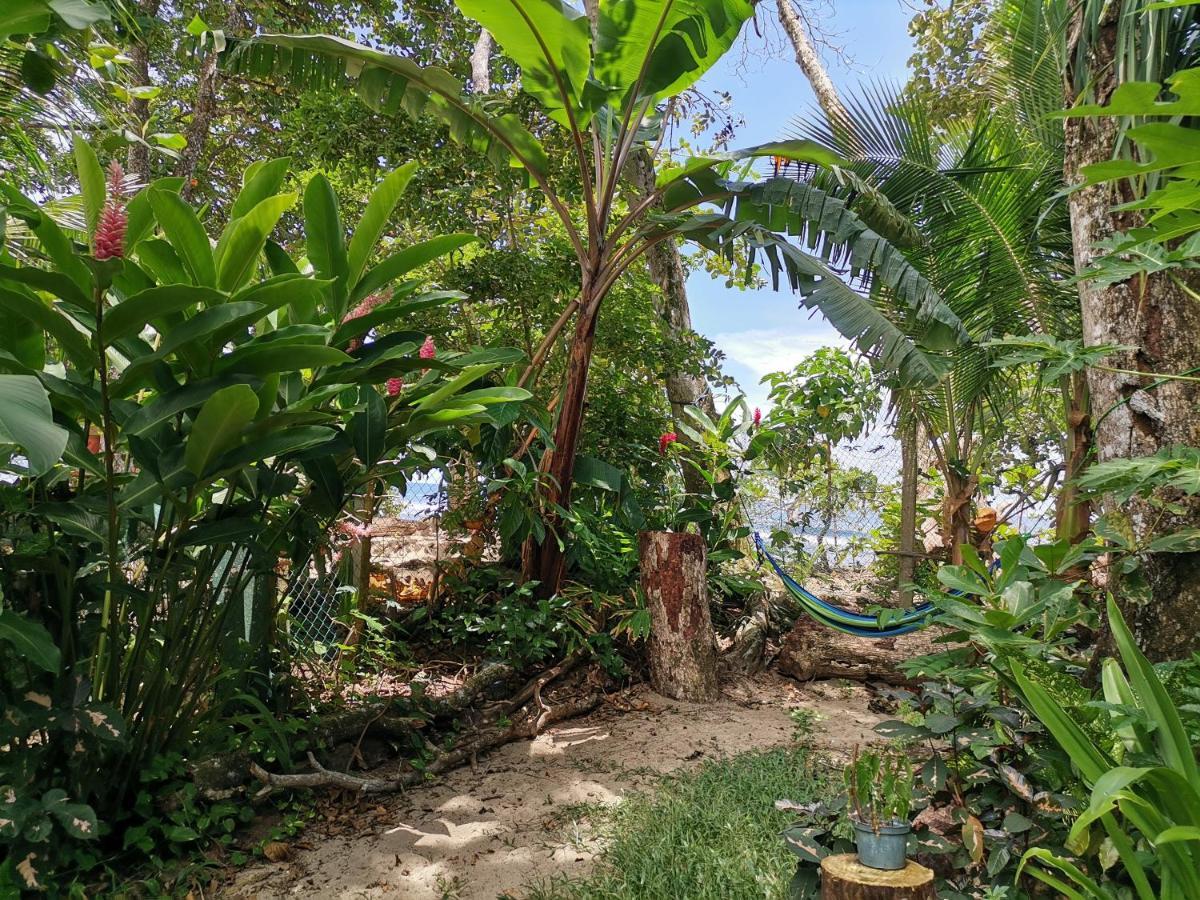 Oasis Beachfront Hostel Puerto Limon Exterior photo